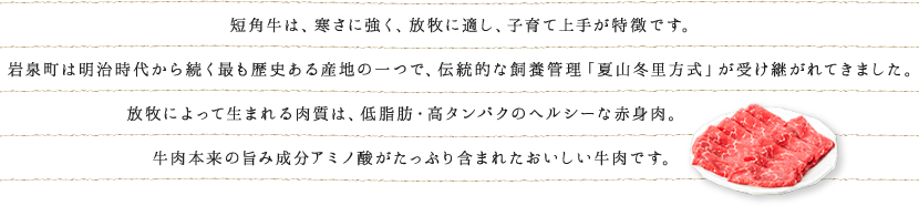 短角牛は、寒さに強く、放牧に適し、子育て上手が特徴です。岩泉町は明治時代から続く最も歴史ある産地の一つで、伝統的な飼養管理「夏山冬里方式」が受け継がれてきました。放牧によって生まれる肉質は、低脂肪・高タンパクのヘルシーな赤身肉。牛肉本来の旨み成分アミノ酸がたっぷり含まれたおいしい牛肉です。