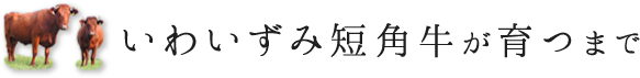 いわいずみ短角牛が育つまで