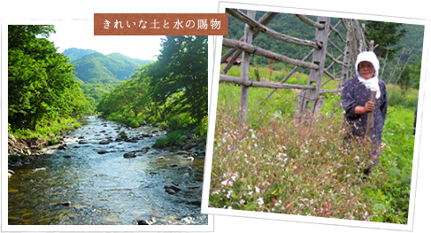 きれいな土と水の賜物