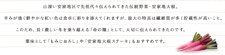 山深い安家地区で先祖代々伝えられてきた伝統野菜・安家地大根。　辛みが強く鮮やかな紅い色は食卓に彩りを添えてくれますが、最大の特長は繊維質が多く貯蔵性が高いこと。このため、長く厳しい冬を乗り越える「命の糧」として、大切に伝えられてきたのです。薬味として「もみじおろし」や「安家地大根ステーキ」もおすすめです。