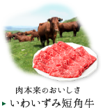 いわいずみ短角牛。肉本来のおいしさ